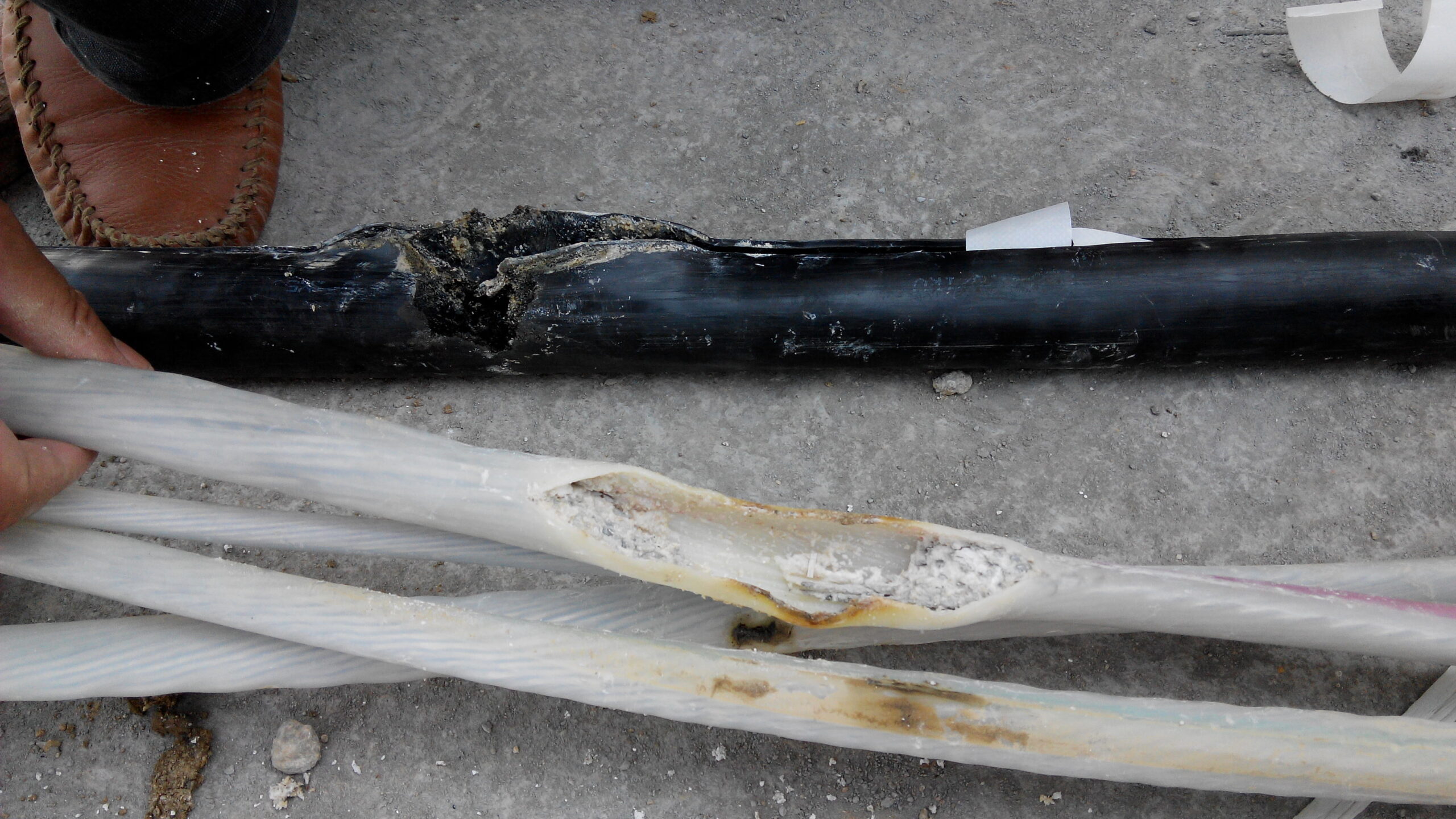 Cable Rips What Are the Main Reasons for Wire and Cable Insulation Breakdown ...